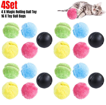 Pet Electric Roller Ball