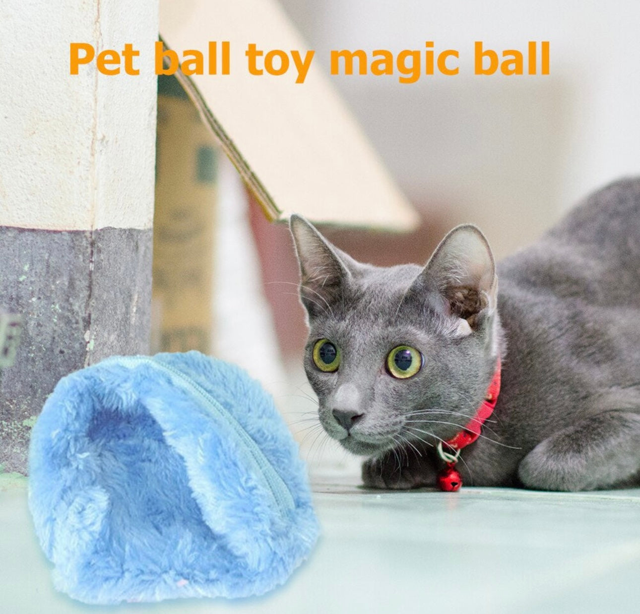 Pet Electric Roller Ball